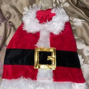 Pet Santa costume